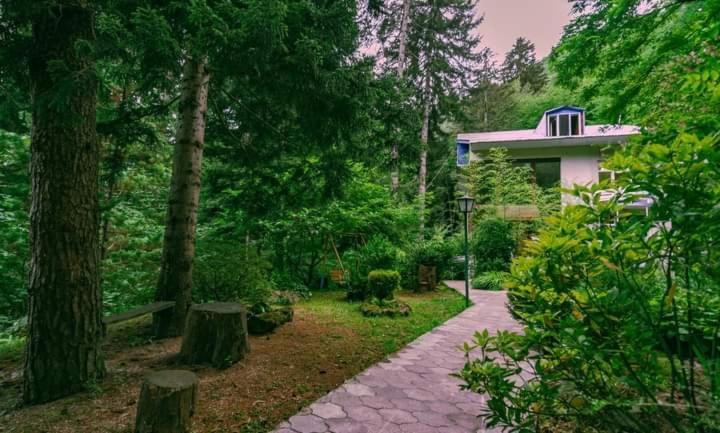 Nunisi Forest Hotel & Spa מראה חיצוני תמונה