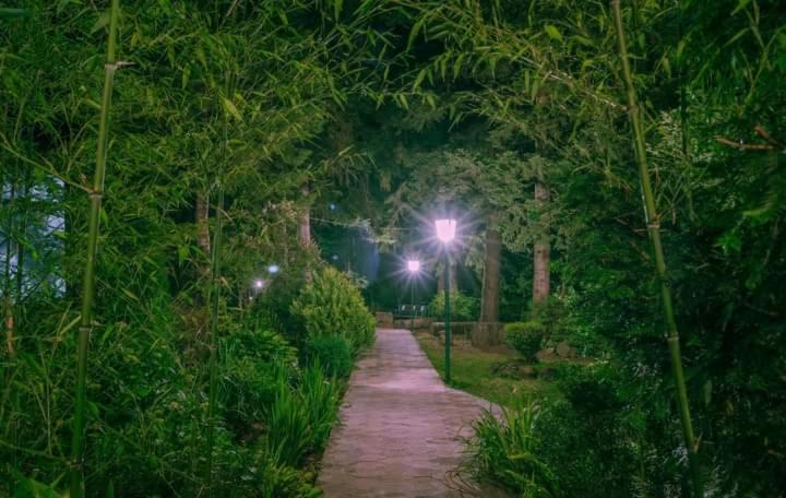 Nunisi Forest Hotel & Spa מראה חיצוני תמונה