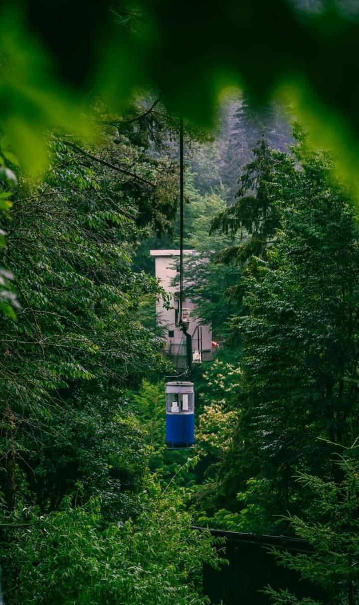 Nunisi Forest Hotel & Spa מראה חיצוני תמונה
